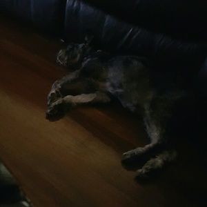 Meet your Posher, Matthew