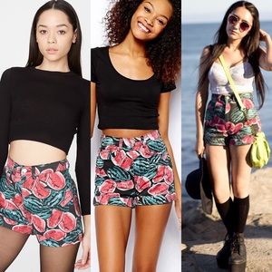 American Apparel Watermelon Shorts