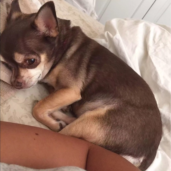 Meet your Posher, Melissa - Picture 5 of 8