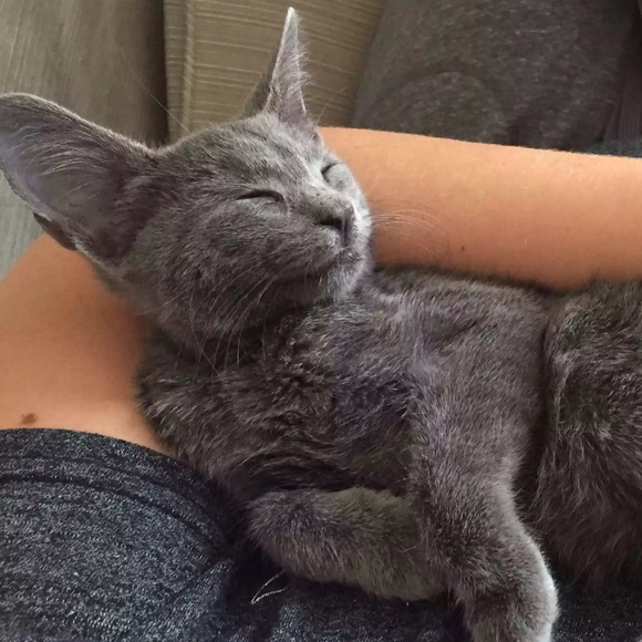 Meet your Posher, Melissa - Picture 4 of 8