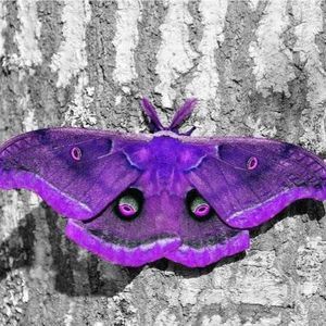 Meet your Posher, Leah