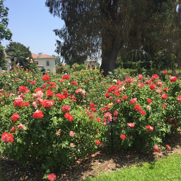 Meet your Posher, Yelena - Picture 1 of 1