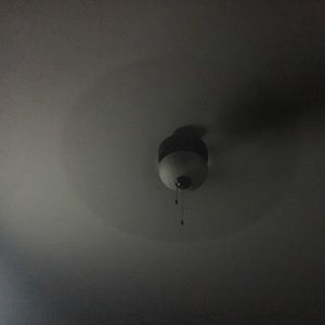 Meet your Posher, Daisy