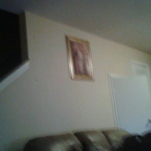 Meet your Posher, Venicia