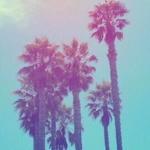 Meet your Posher, Annemarie