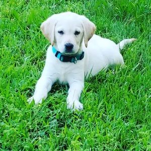 Meet your Posher, Kylah