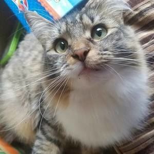 Meet your Posher, Jodi