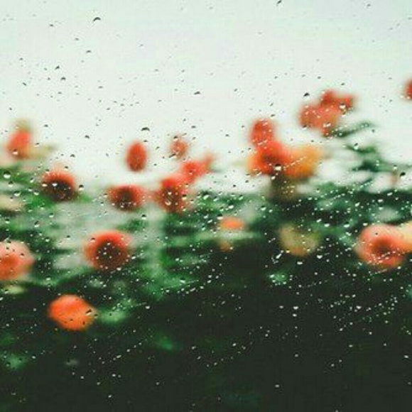 Meet your Posher, Mary - Picture 2 of 2