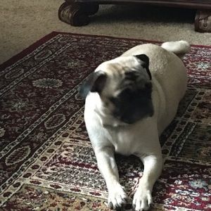 Meet your Posher, Jim