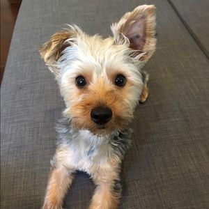 Meet your Posher, Tawnya