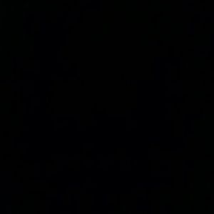 Meet your Posher, Sofia