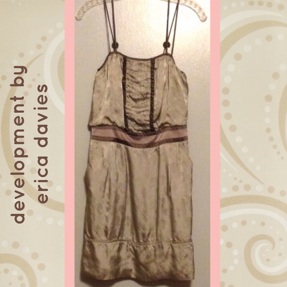 DEVELOPMENT By ERICA DAVIES Chic Silver Silk Dress