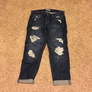 Hollister jeans NEVER WORN