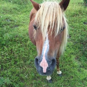 Meet your Posher, Spencer