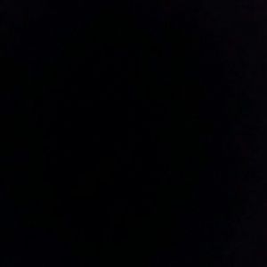 Meet your Posher, Bruce