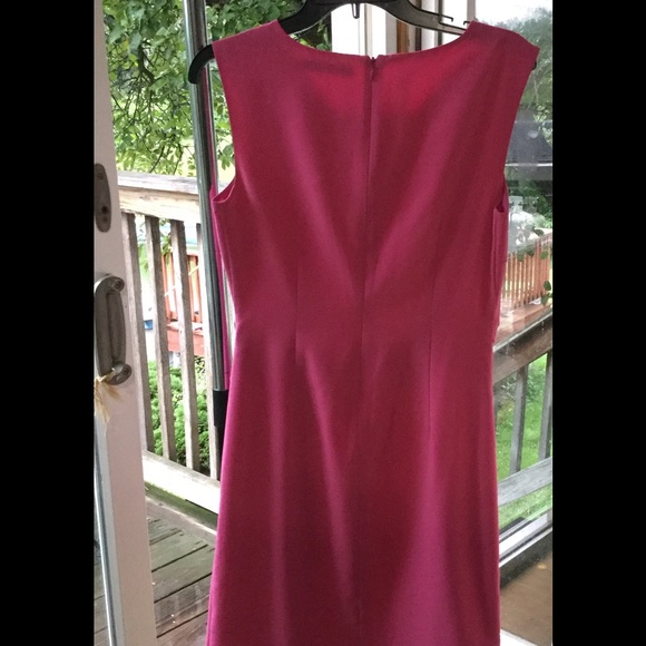 THE LIMITED PINK LINED DRESS - Picture 3 of 4