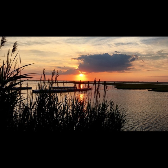 Meet your Posher, Emily - Picture 1 of 1