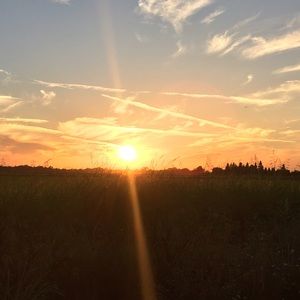 Meet your Posher, Karely