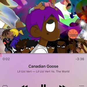 Meet your Posher, Louis