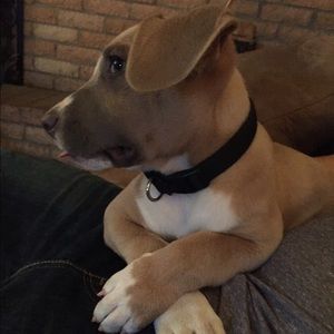 Meet your Posher, Mayra