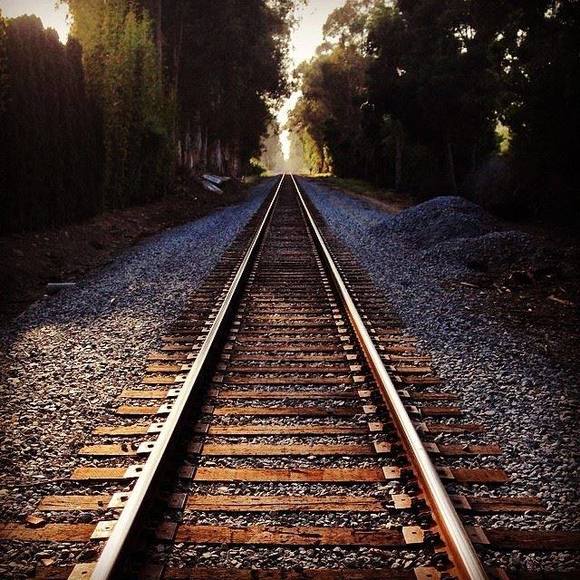 Meet your Posher, Cassie - Picture 4 of 4