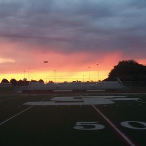 Meet your Posher, Bailey