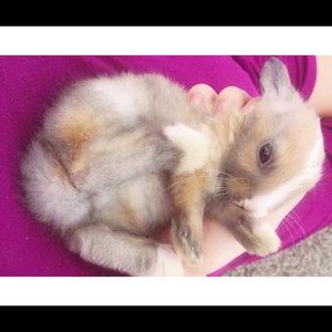 Meet your Posher, Marilyn