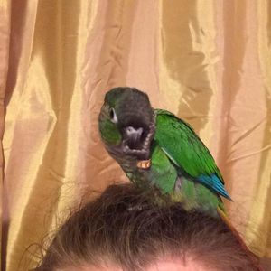 Meet your Posher, Kelly