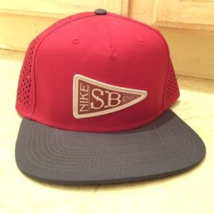 Burgundy/ charcoal gray Nike SB SnapBack