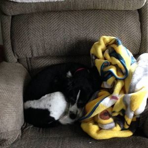 Meet your Posher, Kimberley