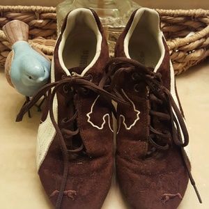 Brown and white Pumas