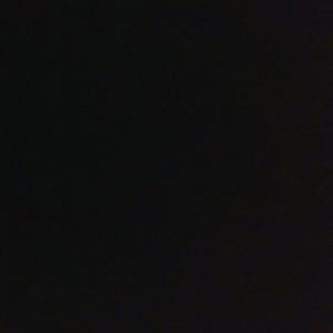 Meet your Posher, Bridgette