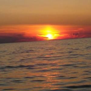 Meet your Posher, Sue