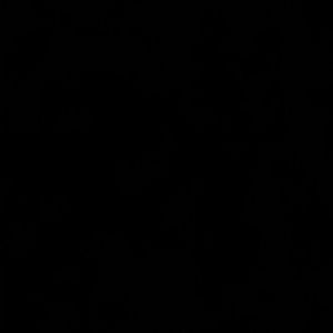 Meet your Posher, Ann