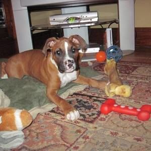 Meet your Posher, Nancy