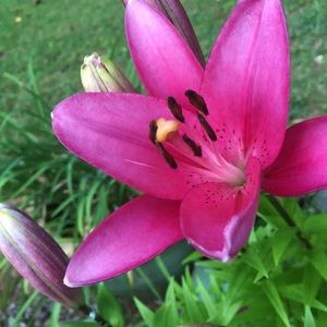 Meet your Posher, Patricia