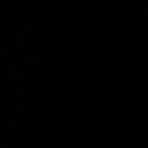 Meet your Posher, Ava