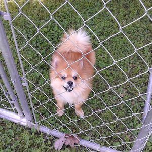 Meet your Posher, Kay