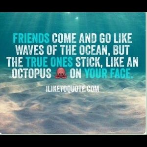 Meet your Posher, Chloe