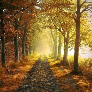 Meet your Posher, Peter