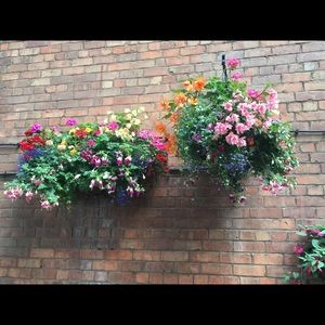 Meet your Posher, Sandy