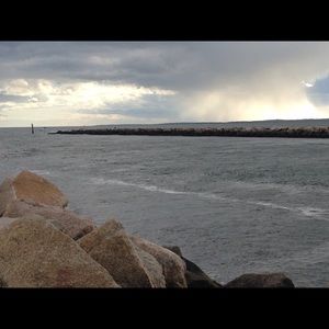 Meet your Posher, Henry