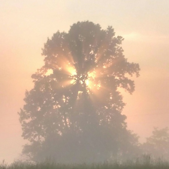 Meet your Posher, Callie