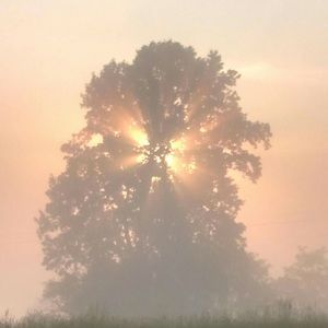 Meet your Posher, Callie