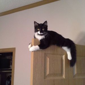 Meet your Posher, Becky