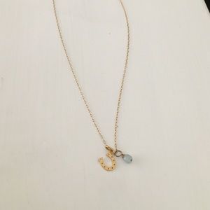 Horseshoe necklace with gem