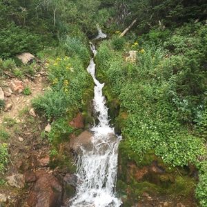 Meet your Posher, Toni