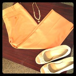 Perfect Pair of BCBG Max Azria Capris 🤗💋