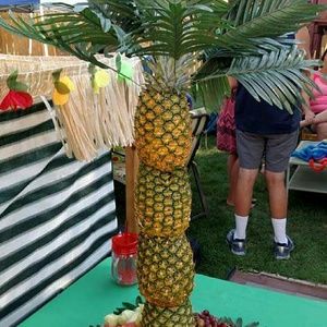 Meet your Posher, Bonnie