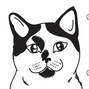 Meet your Posher, Chelsea